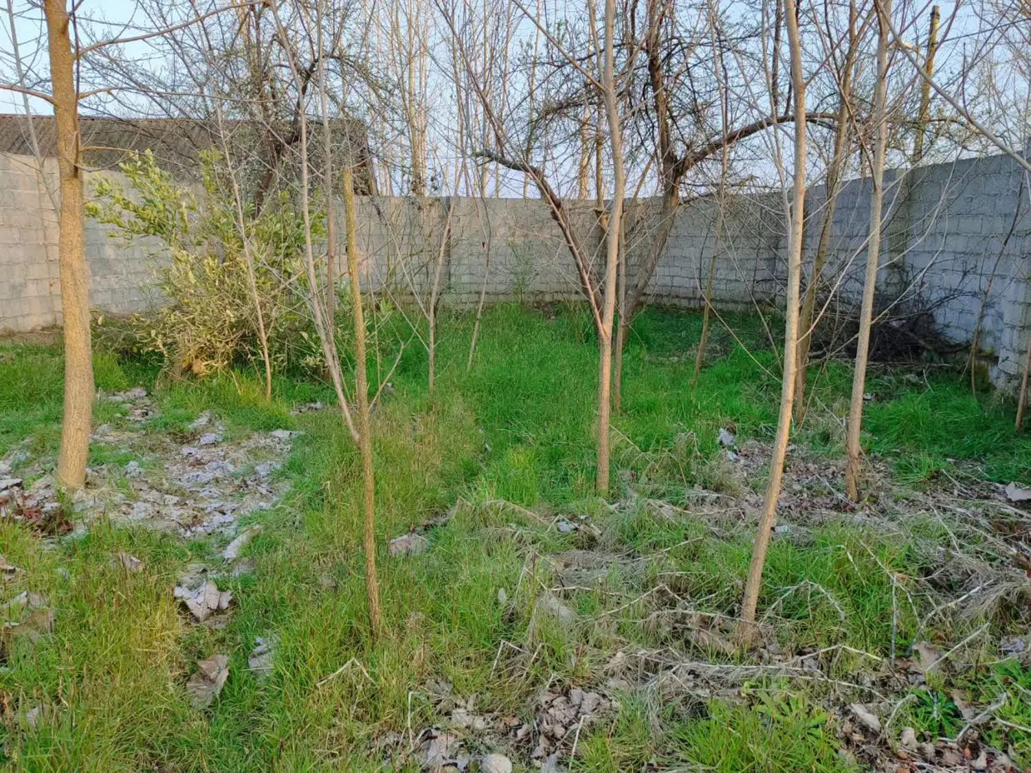 فروش زمین