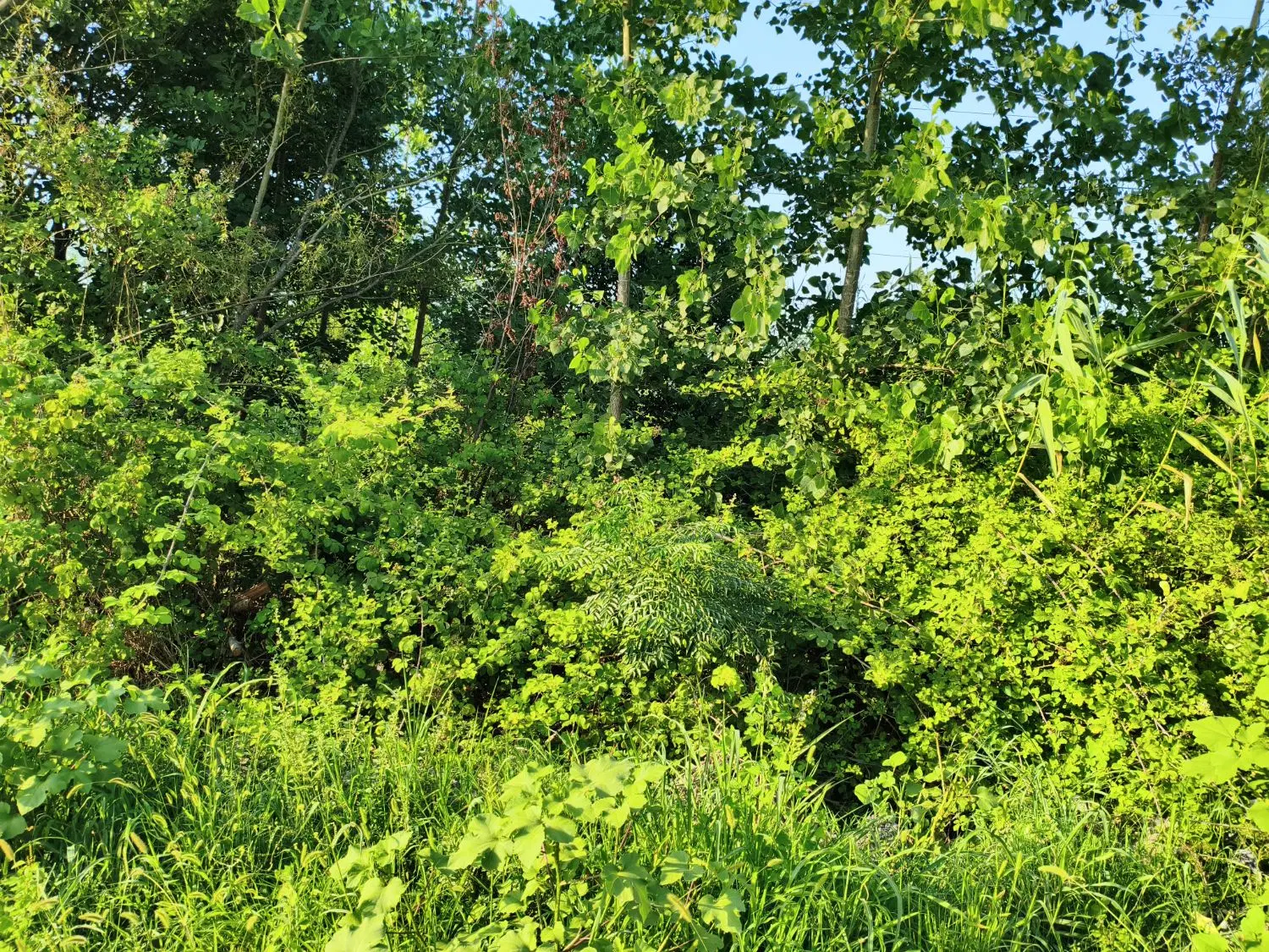 زمین مناسب برای سرمایه گذاری