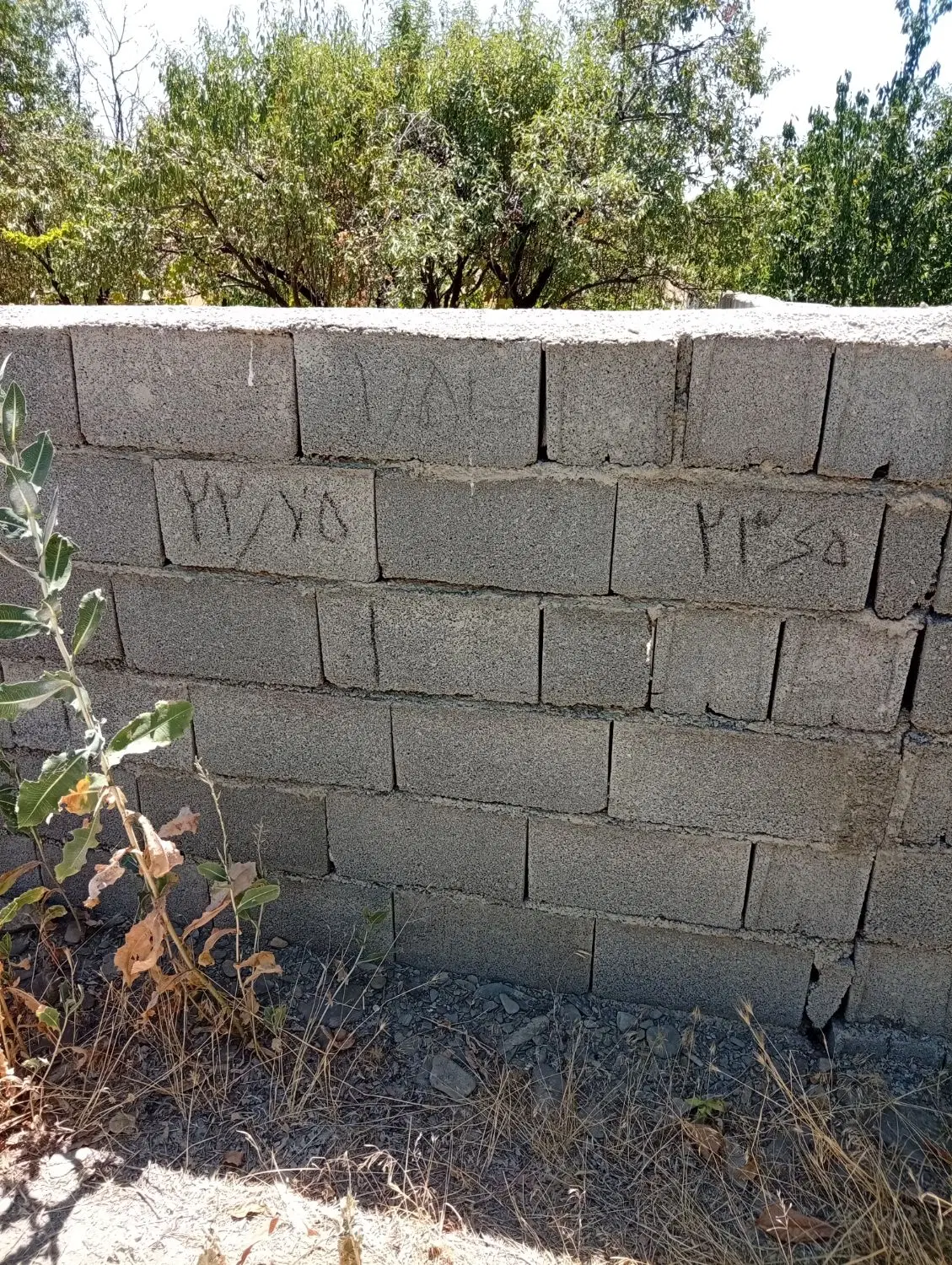 خونه ویلایی_ گلمکان_ وسط شهر