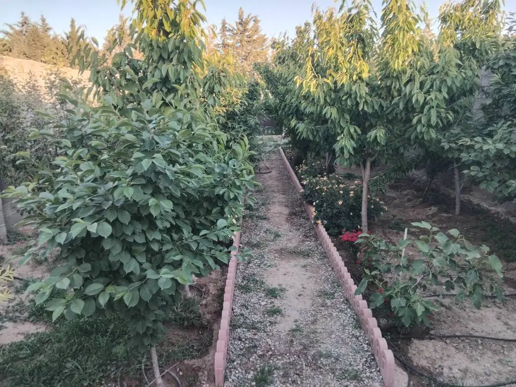 باغ ویلا
