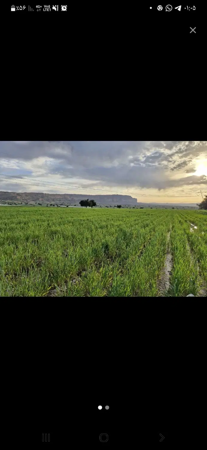 اجاره سه هکتار زمین کشاورزی