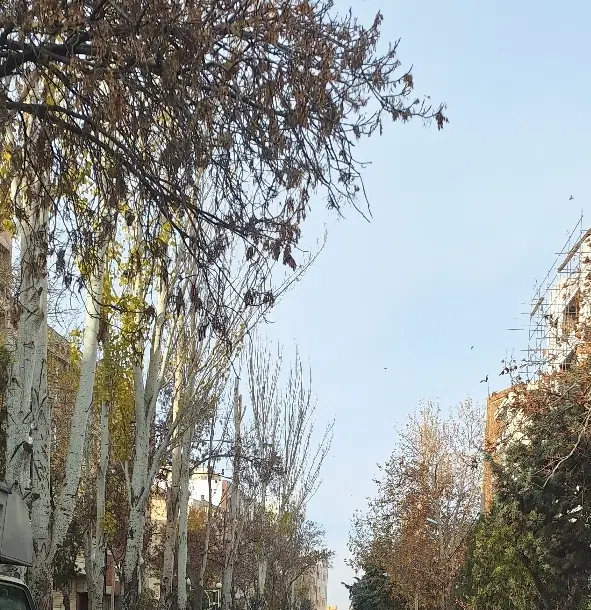 اراضی پایین کوه فاز ۴ ویلایی دوبلکس