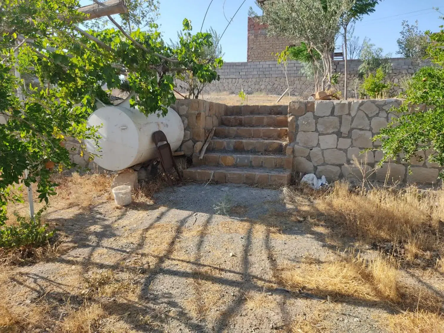 باغ در روستای کلاته سالار