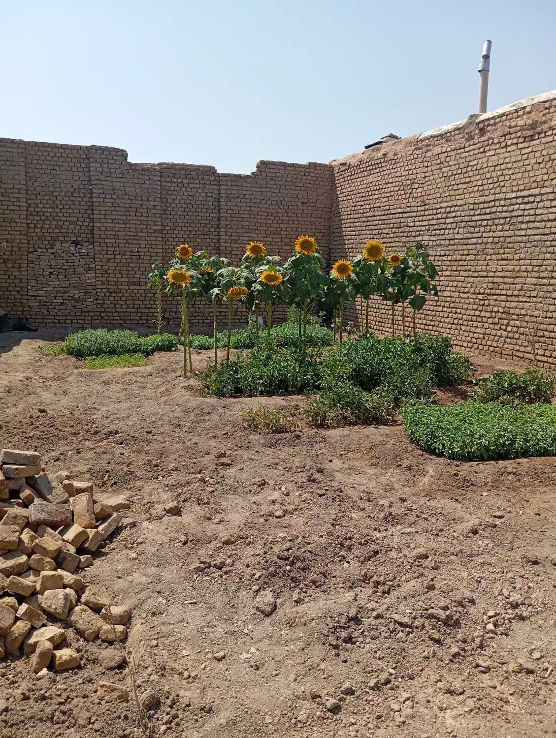 چهار دیواری واقع در مرکز روستا خسروجرد