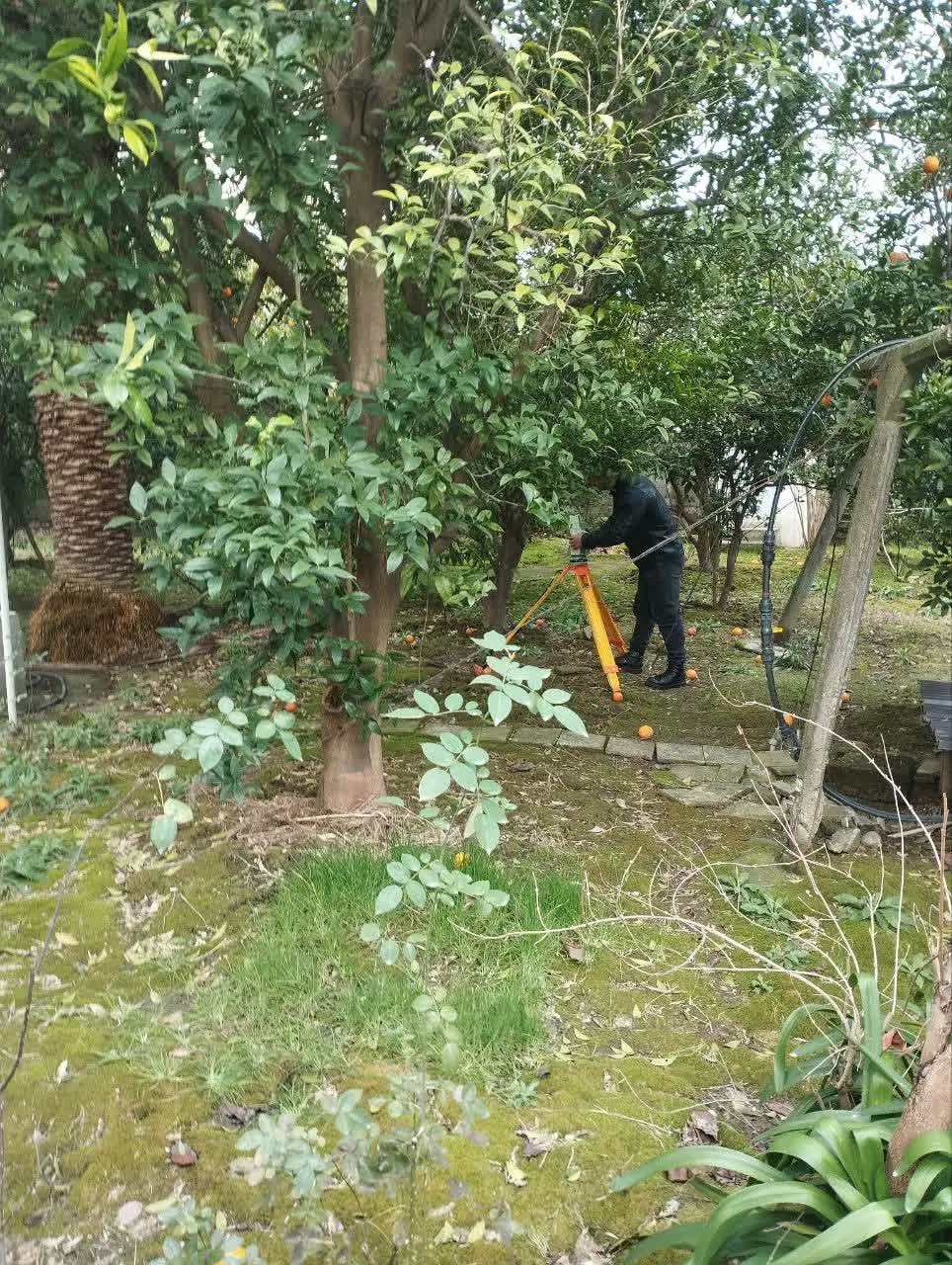 زمین بلوار فردوسی غربی تجاری مسکونی