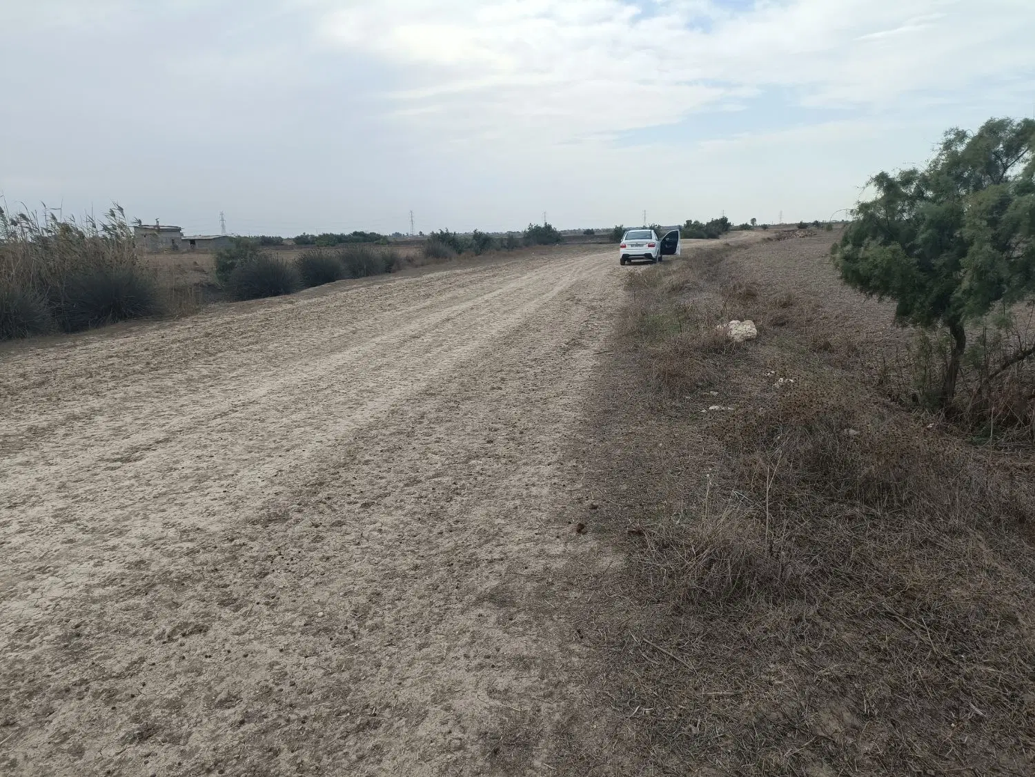 ۱۶ هزار متر زمین زراعی سنددار