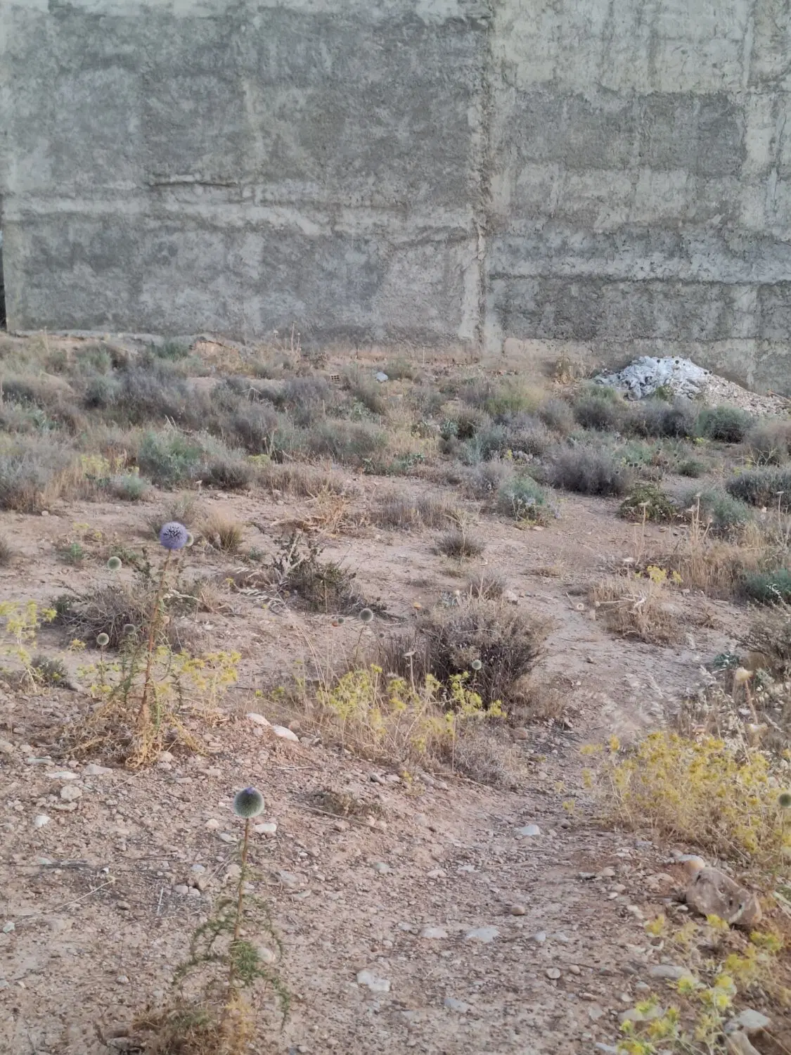 فروش زمین فاز۲