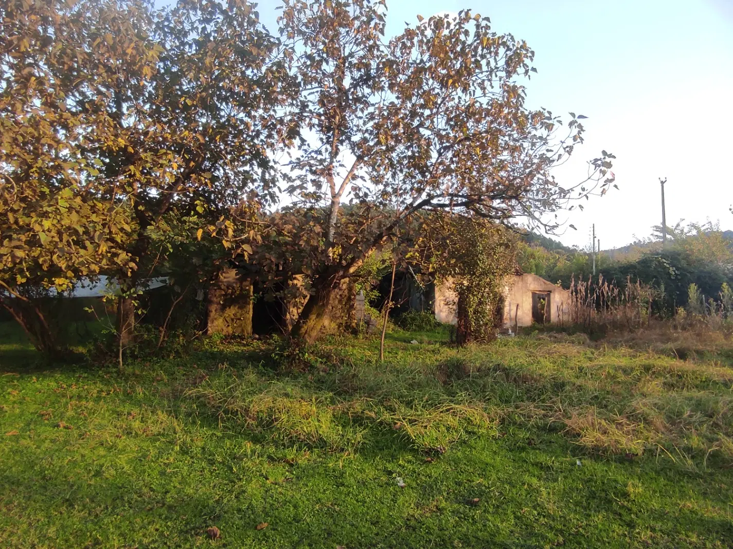۲۱۵ متر زمین در روستای کشفی با کاربری مسکونی