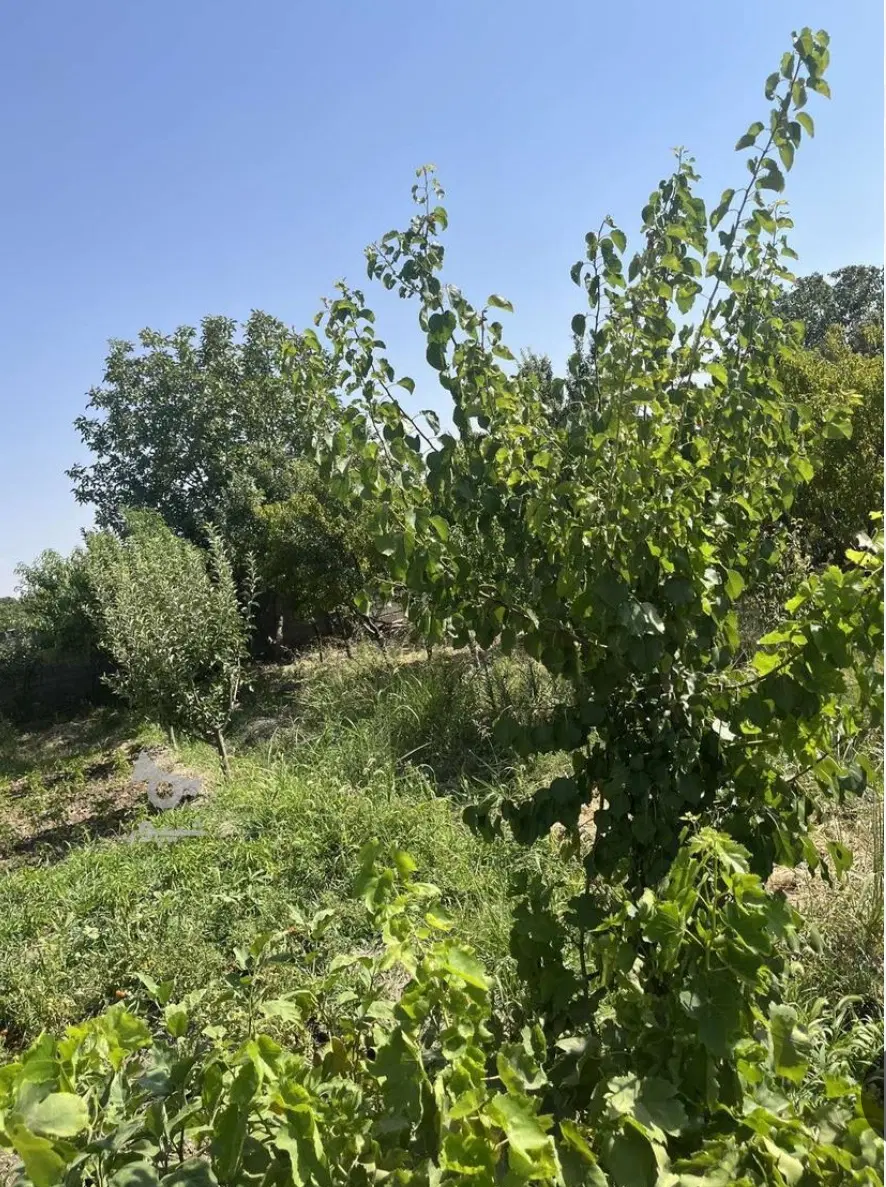 چهار دیواری ۵۷۰ متری