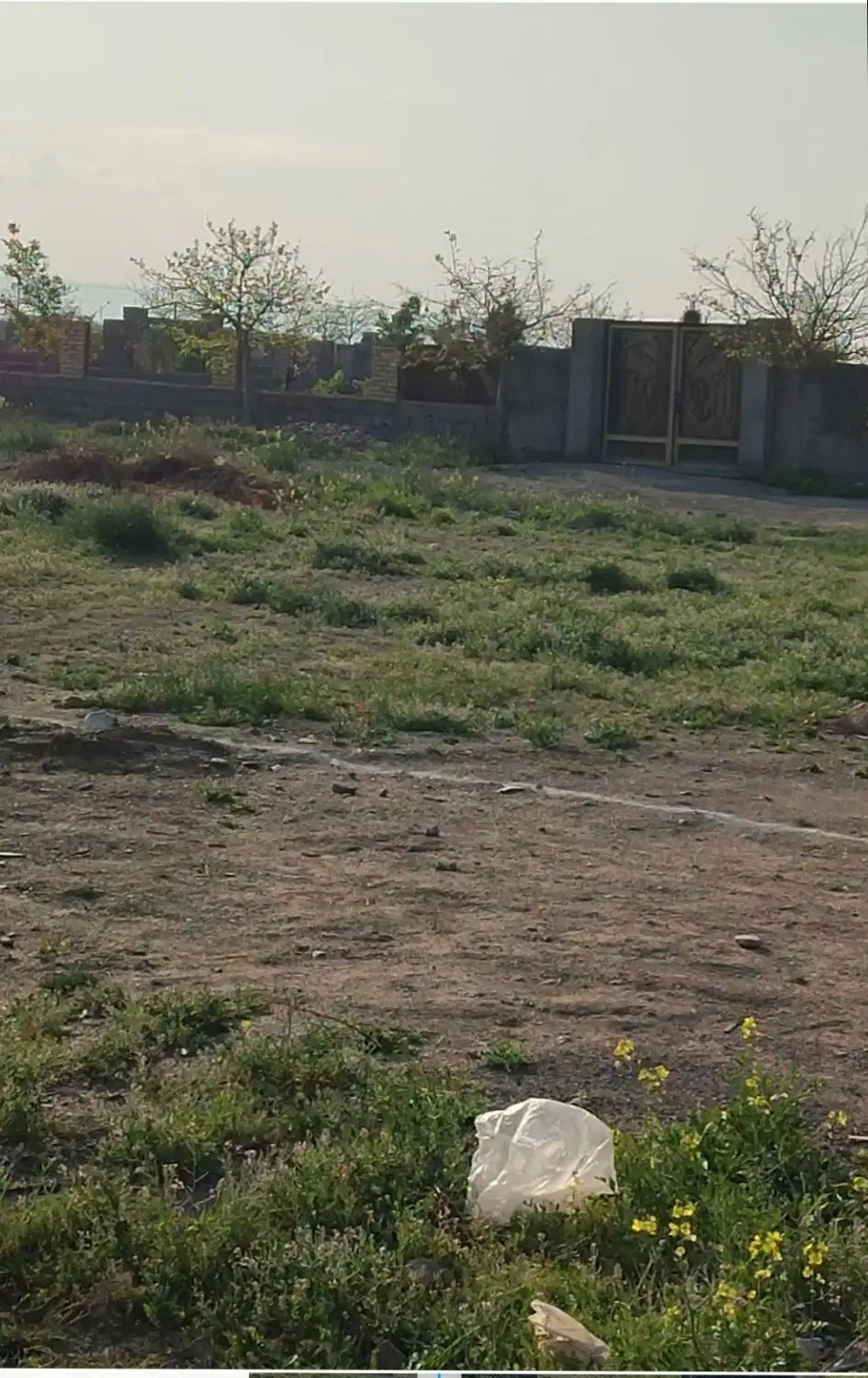 باغ ۲۳۶۰متری  مفت مفت