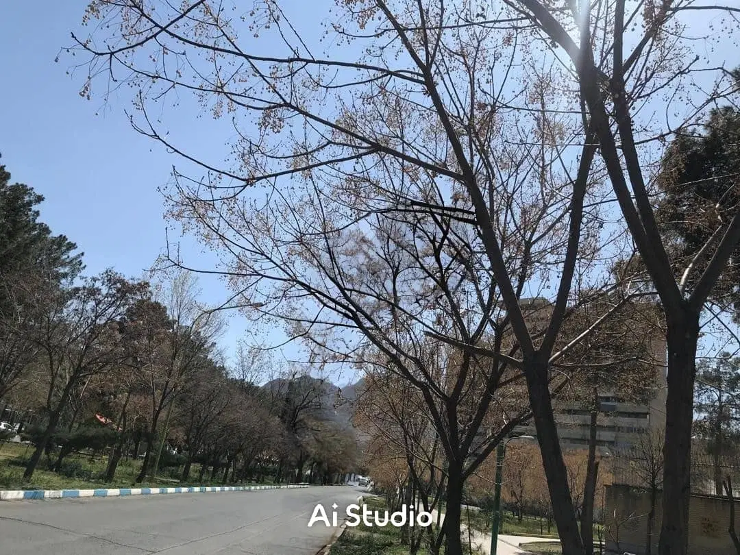 فروش زمین تجاری امام رضا