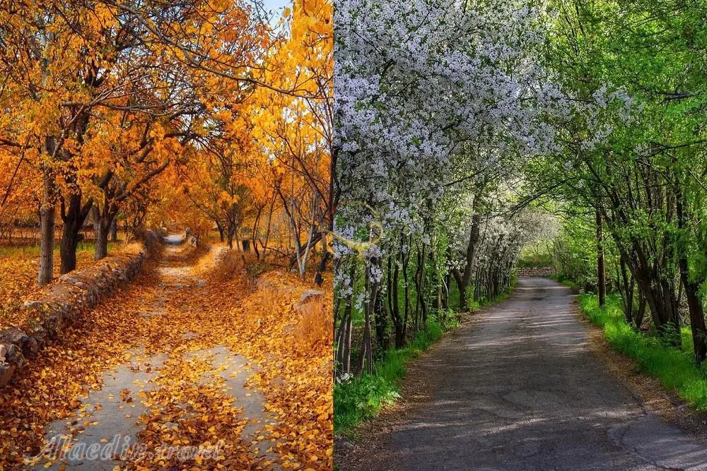 فروش زمین مسکونی در خوانسار
