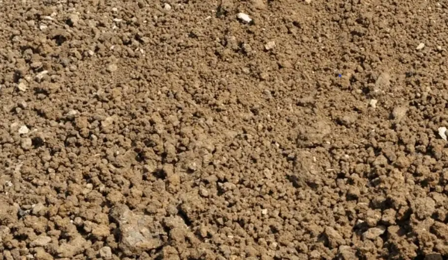 زمین تجاری  کشاورزی جهت احداث سوله بر جاده دوستوند