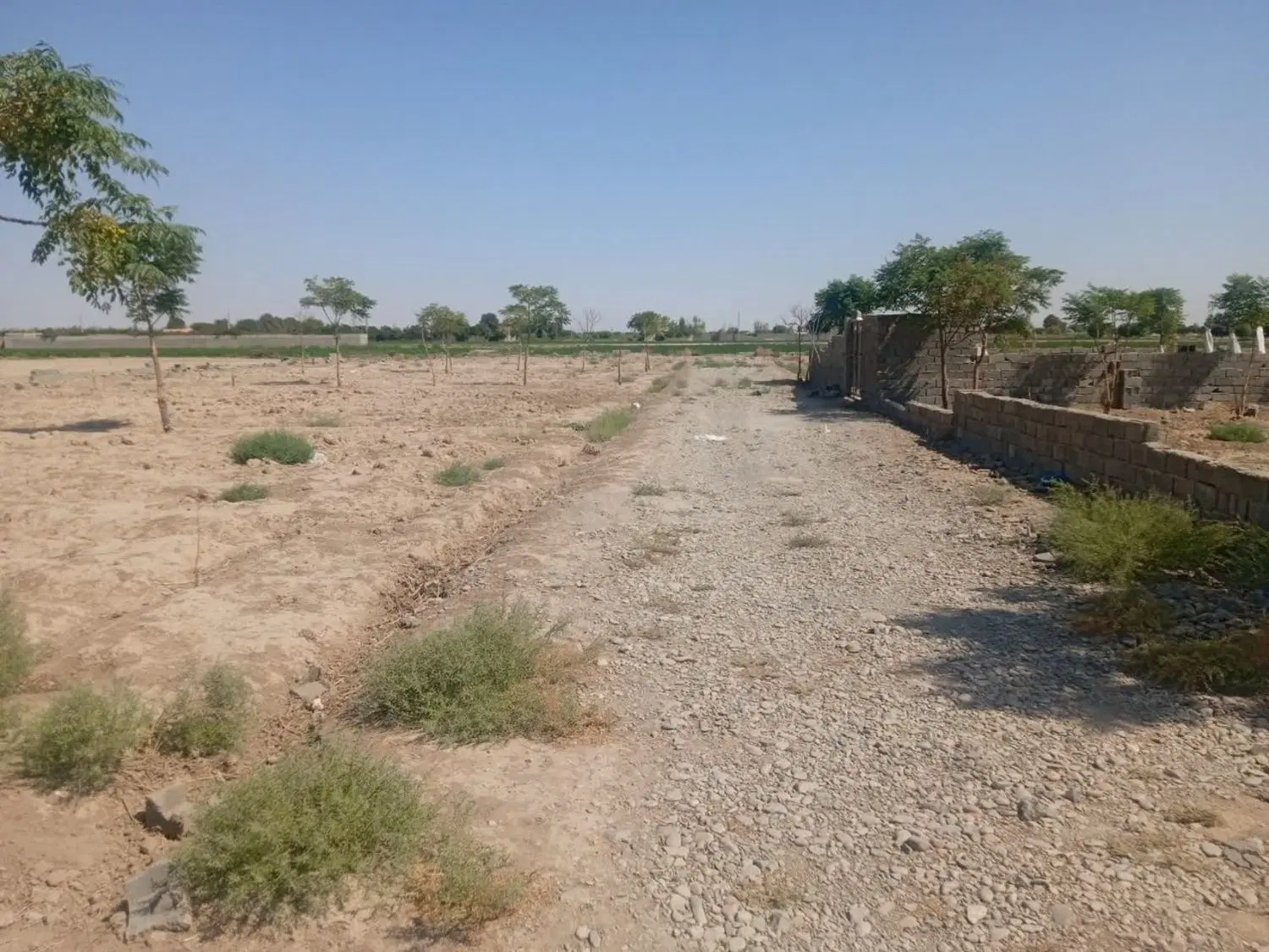 زمین باغی