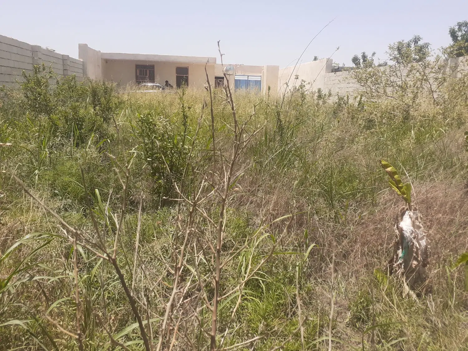 خانه باغ