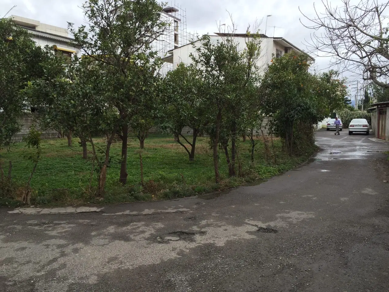 زمین فردوسی غربی
