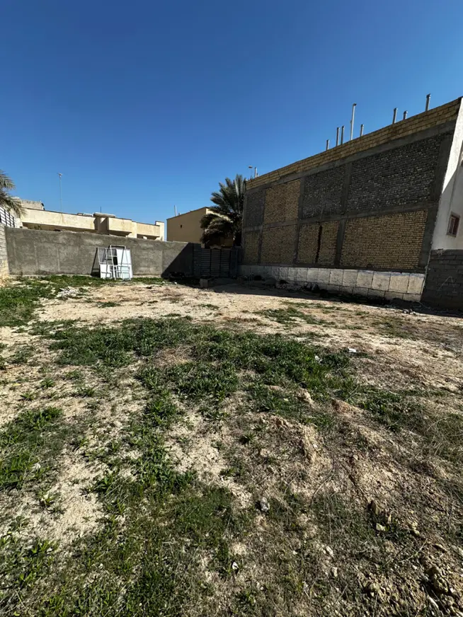 فروش زمین در نخلستان