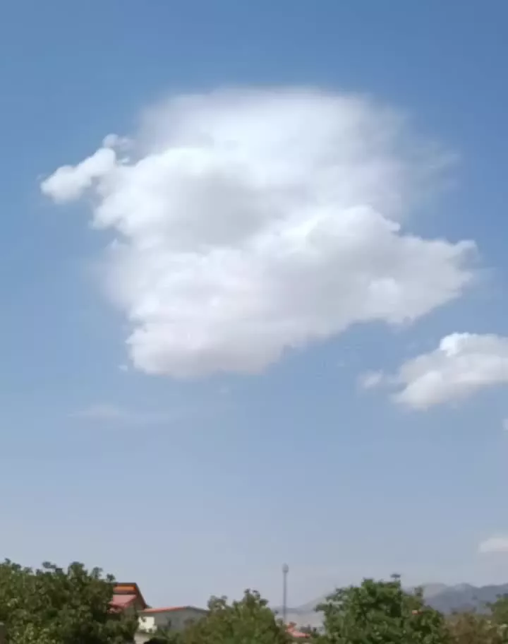 600 متر مناسب ساخت ویلا
