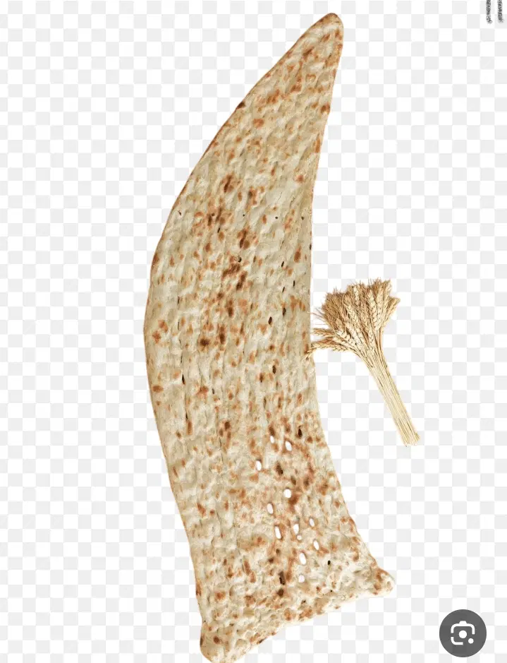 مغازه برای نانوایی سنگک