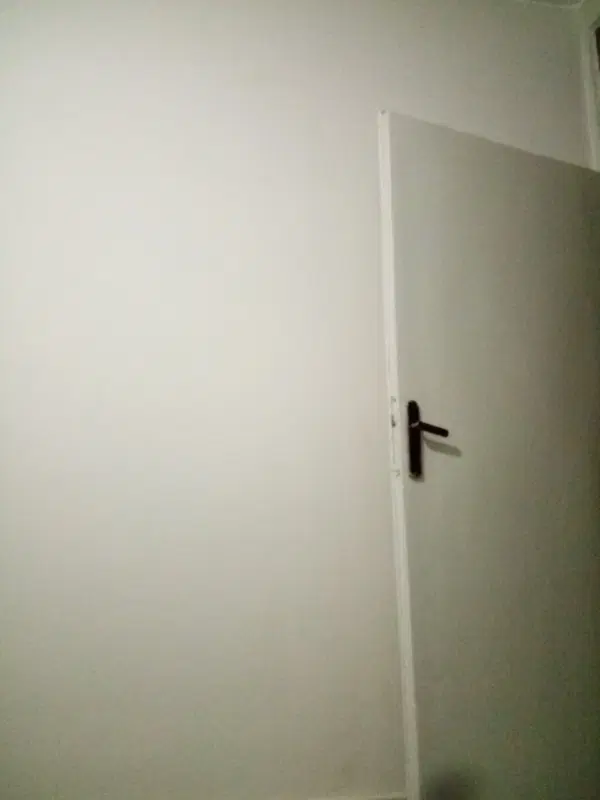 همخونه هم خانه