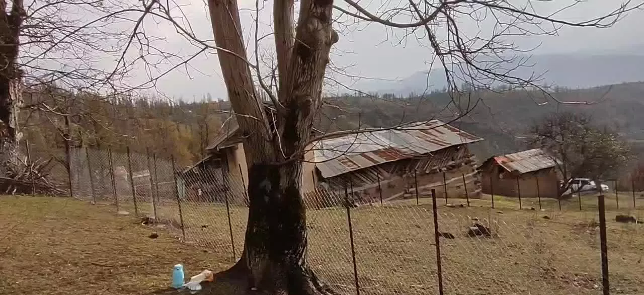 زمین سند دار 993متر در روستای پلنگ دره