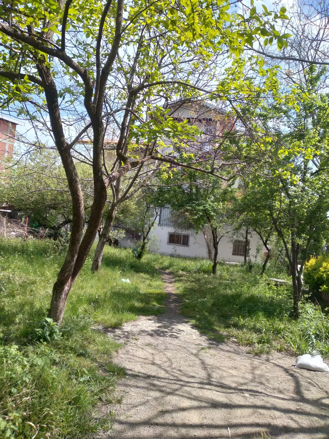 اجاره ویلا باغ دلباز