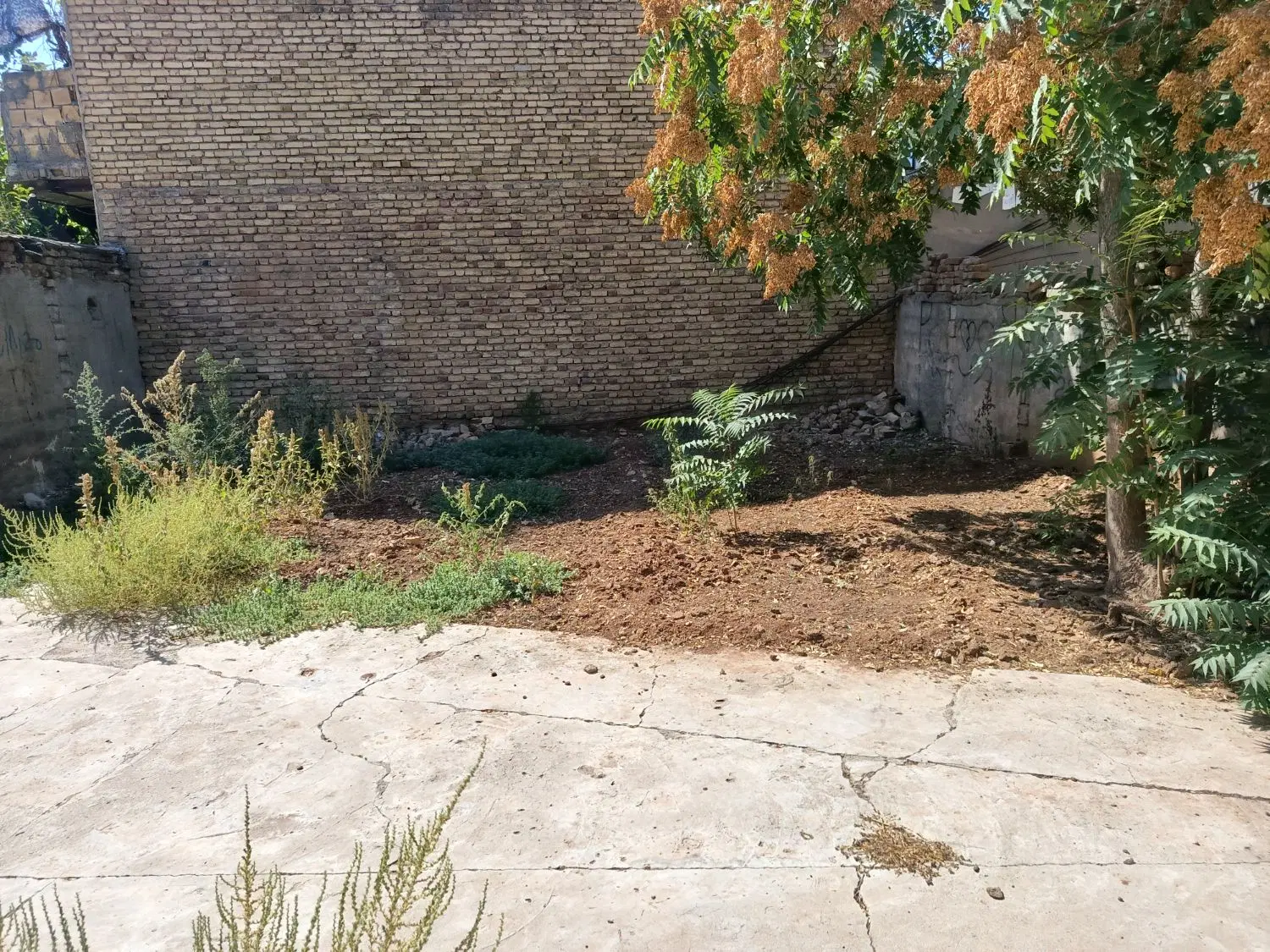 زمین مسکونی