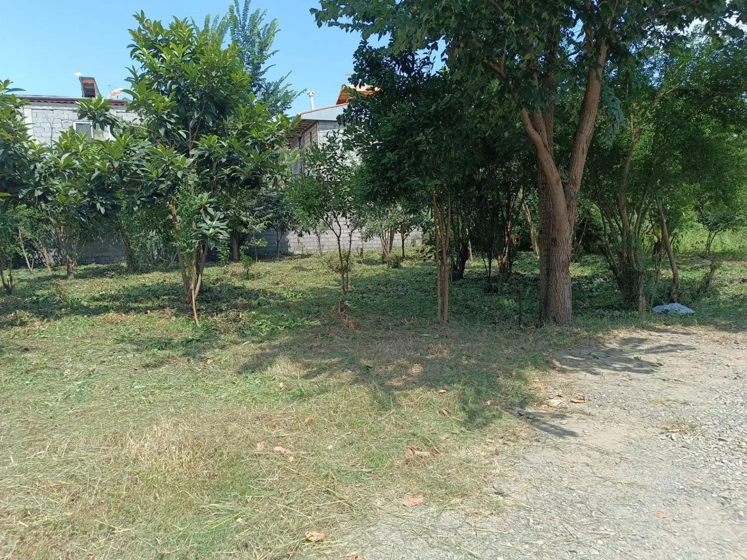 زمین مسکونی