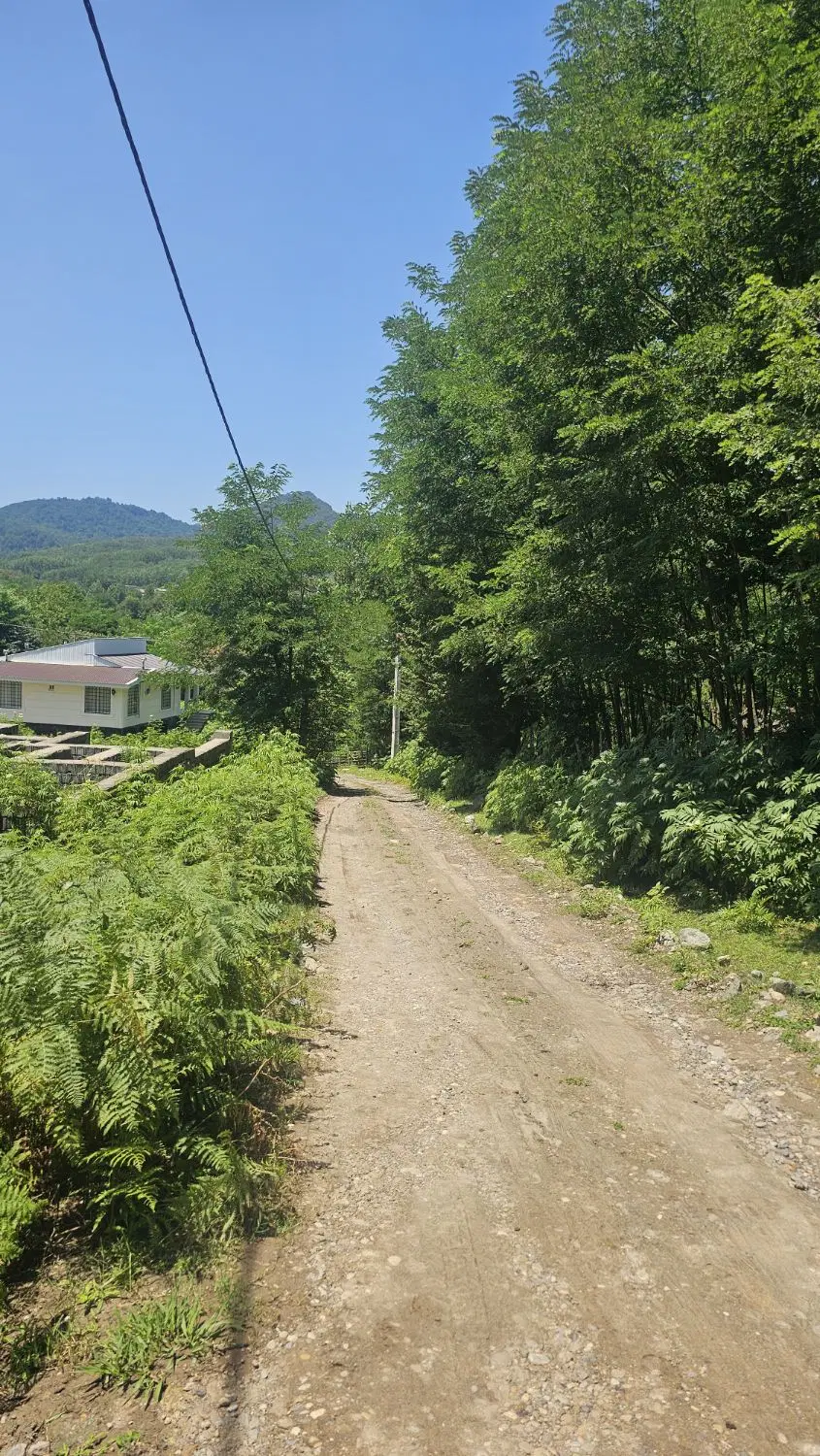 زمین مسکونی ۳۶۵۵ متر