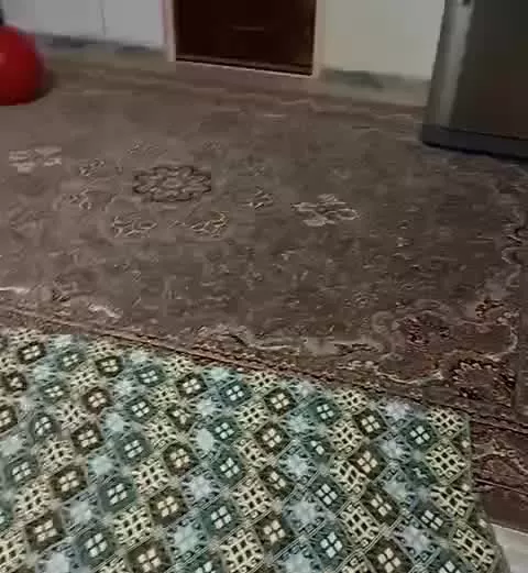 اجاره فوری پول لازم