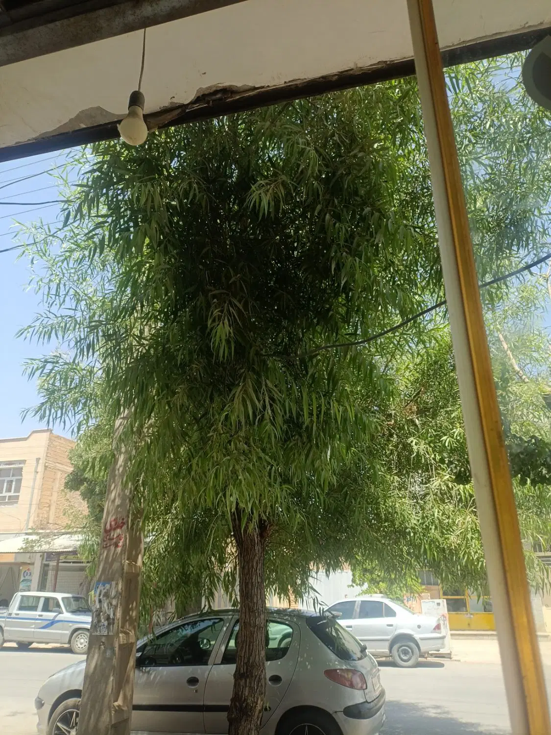 اجاره مغازه شهرکیان
