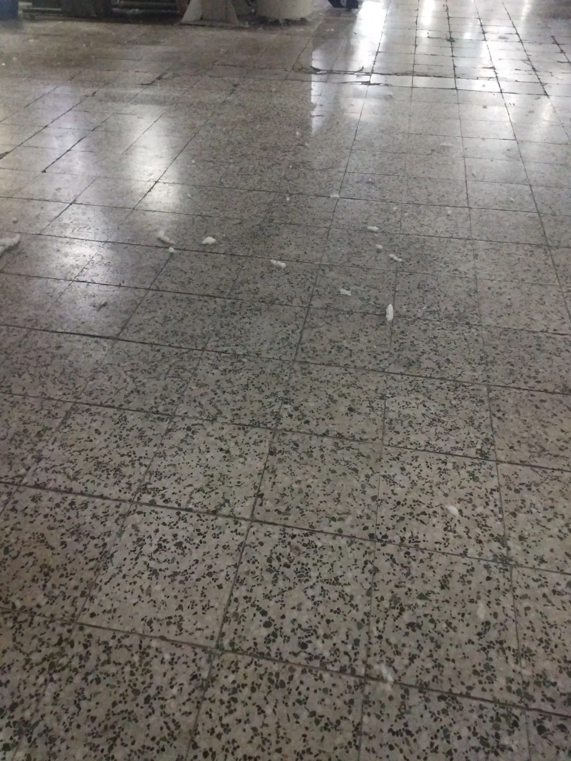 سوله