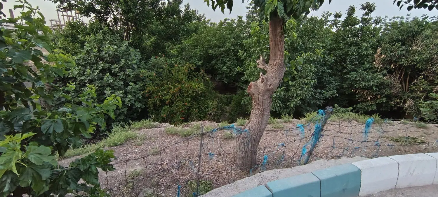 ۱۰۰۰ متر باغ
