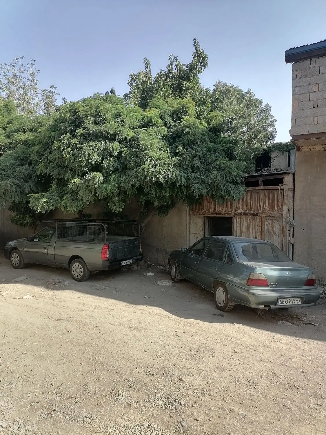باغ باغچه ویلا