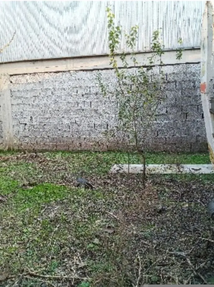 زمین کاربری مسکونی