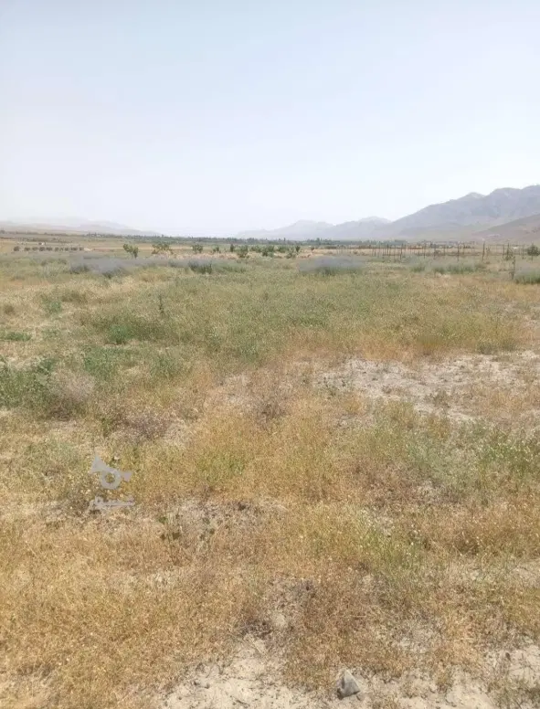 زمین ولویه رودبار