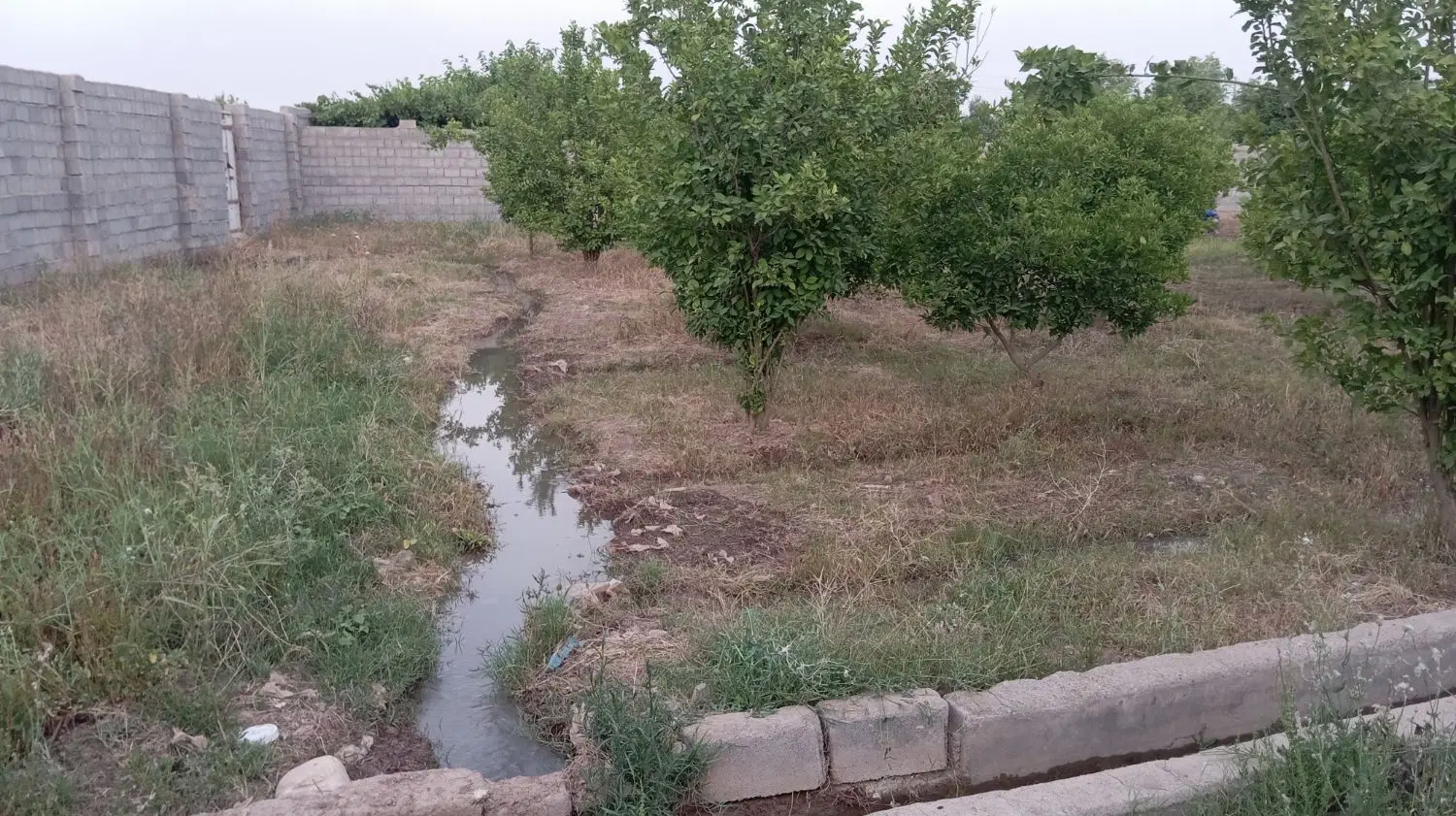 فروش زمین باغ قلعه نو