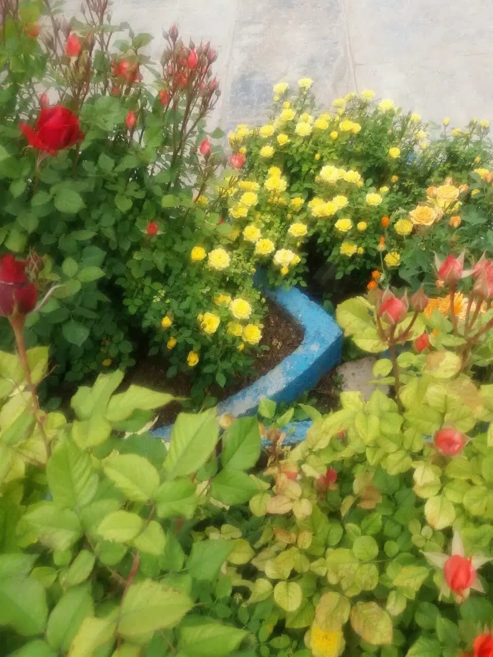ویلای فروشی