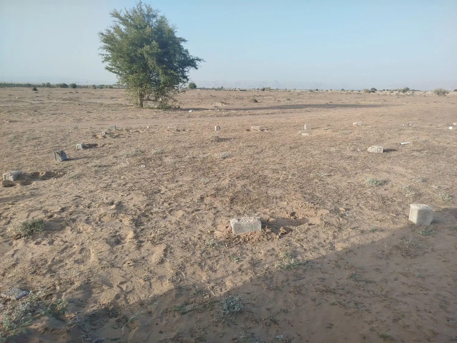 220متر زمین کشاورزی شمال کربلای 4