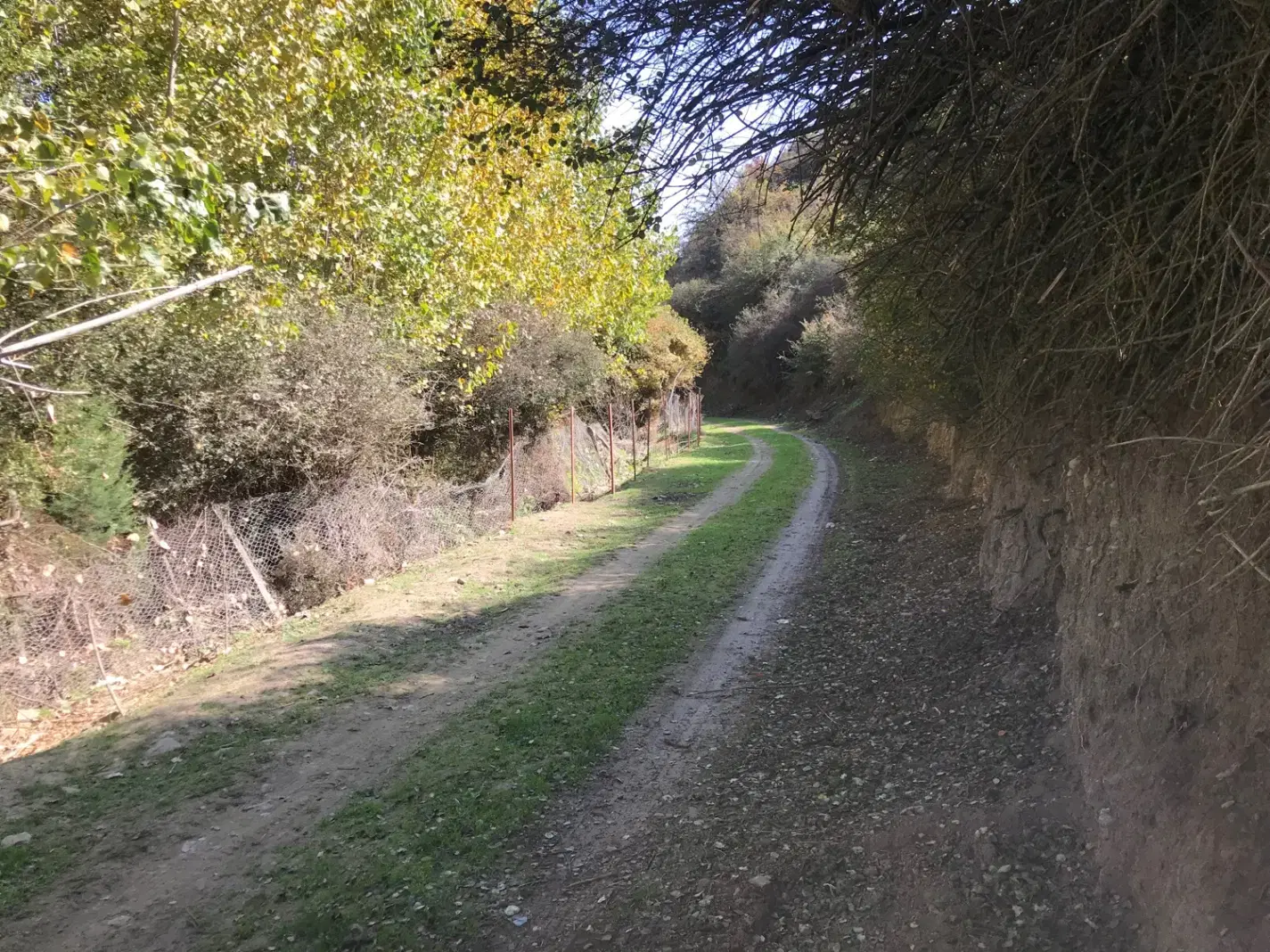 زمین ییلاقی ،نوشهر،منطقه کجور، روستای بین،۳۶۰ متری