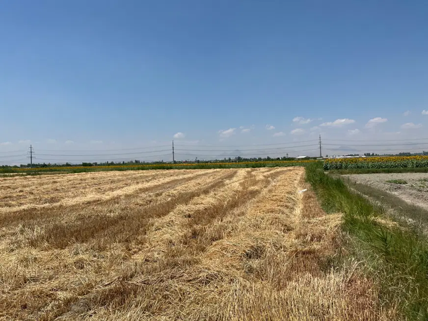 زمین زراعی با امکانات سه نبش