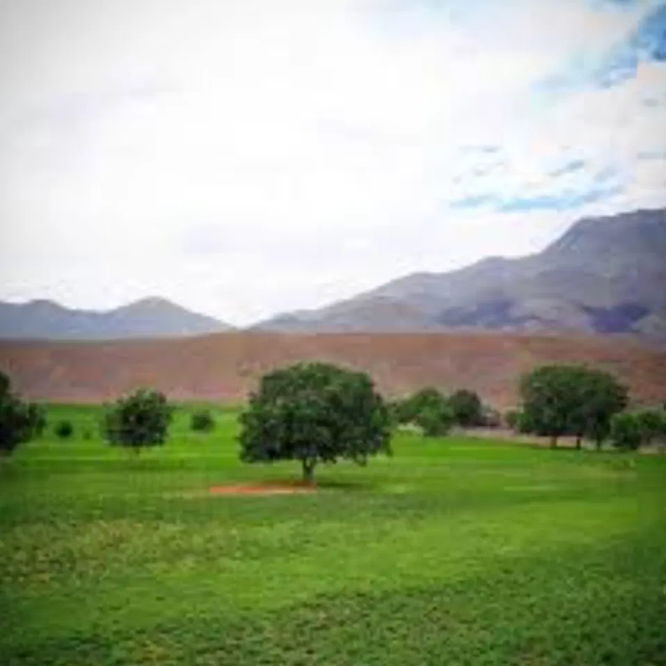 زمین زینل اباد ماهان