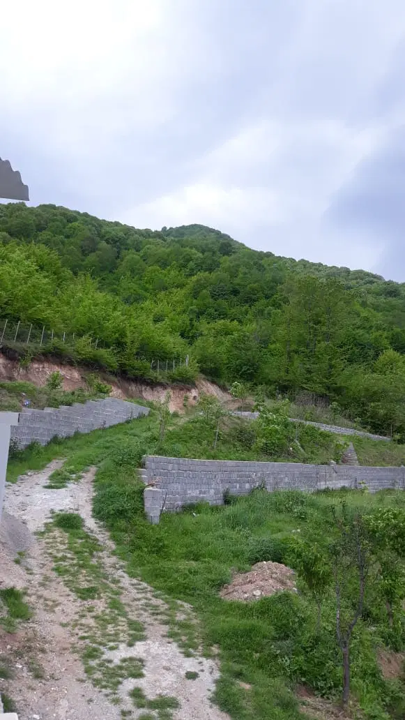 شمال ، گیلان، باغ ، ۳۸۳۰متر