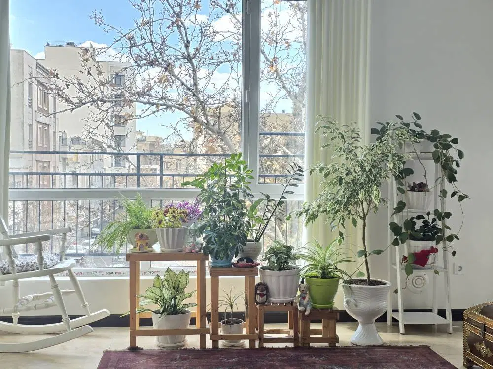 ۱۰۰ متر دوخواب میدان ۶۲ تخلیه