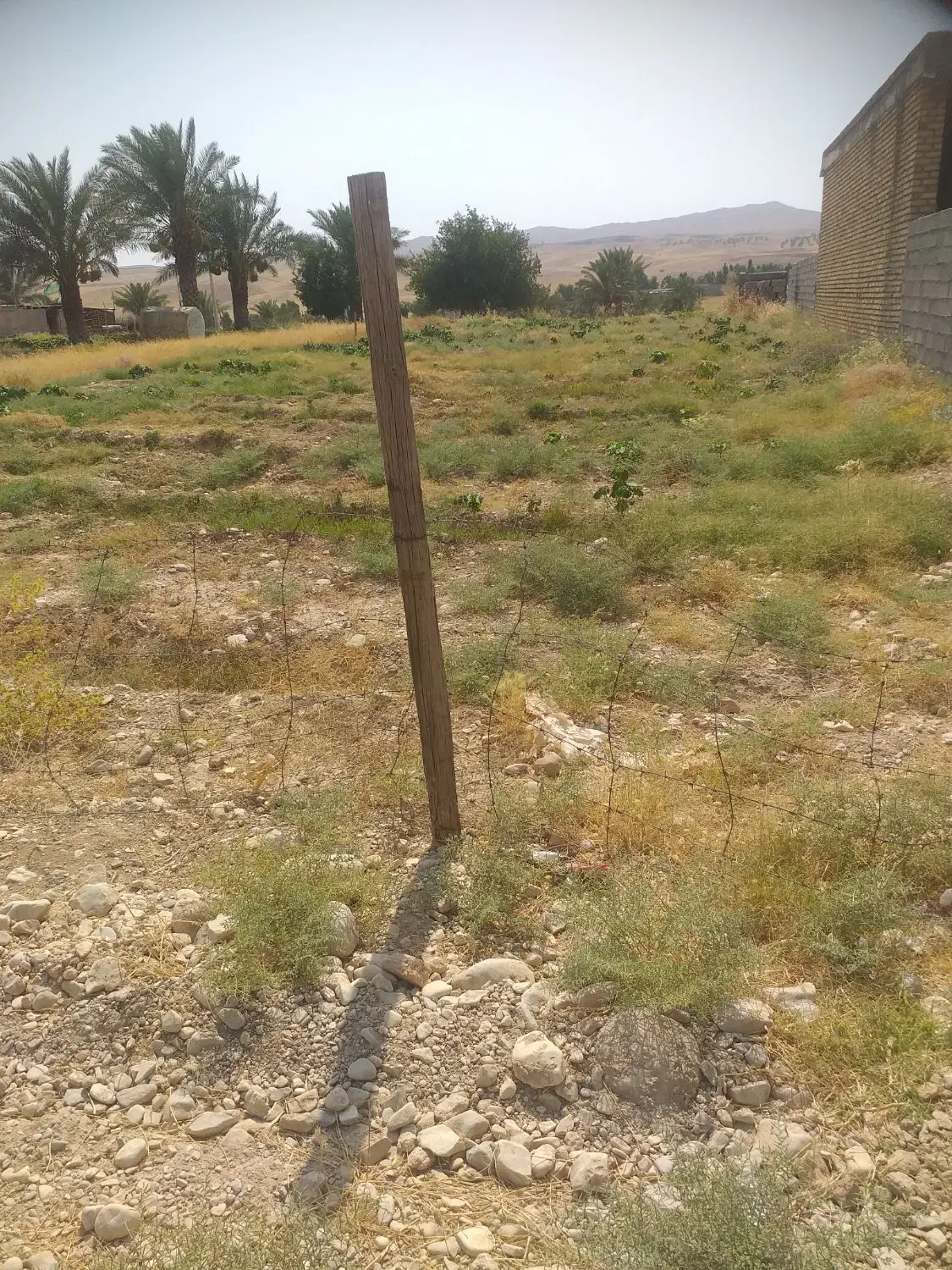 زمین تجاری، مسکونی، صالح اباد