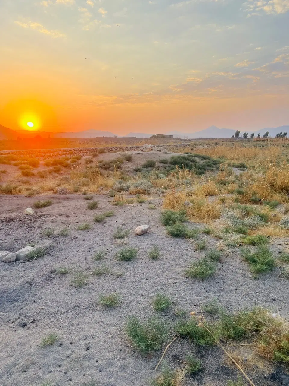 فروش یک قطعه زمین