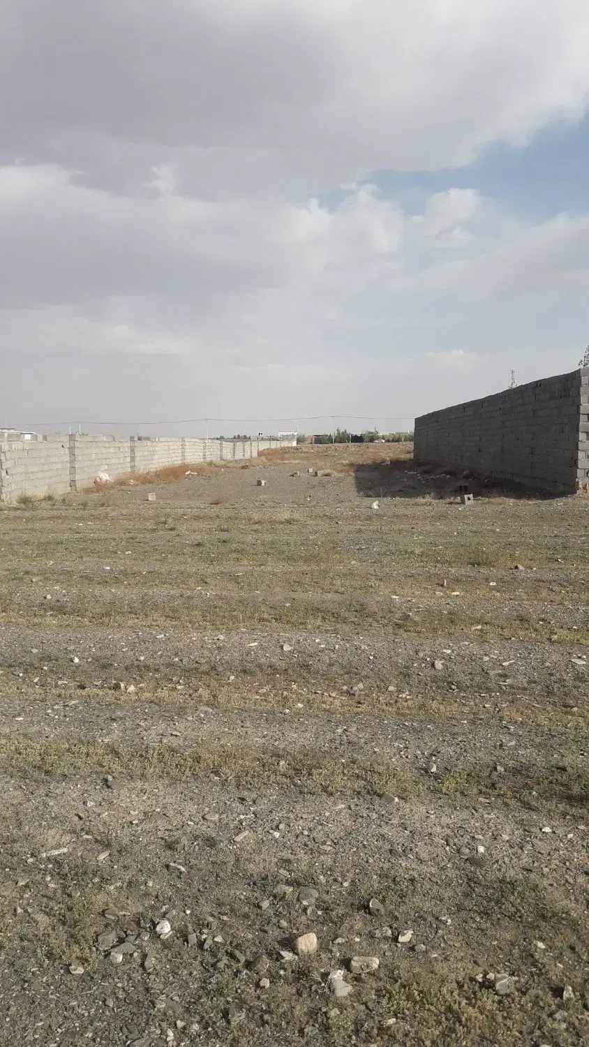 زمین فروشی کاهو