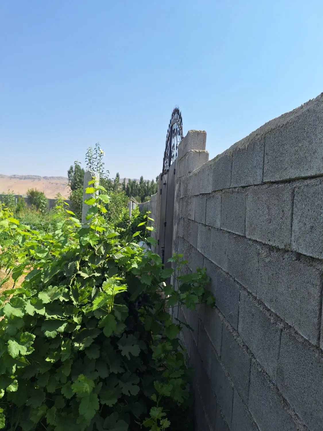 ۱۰۰۰ مترمربع ویلایی طرح هادی  دشتروم