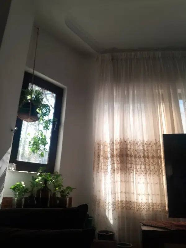 واگذاری سهم الارث