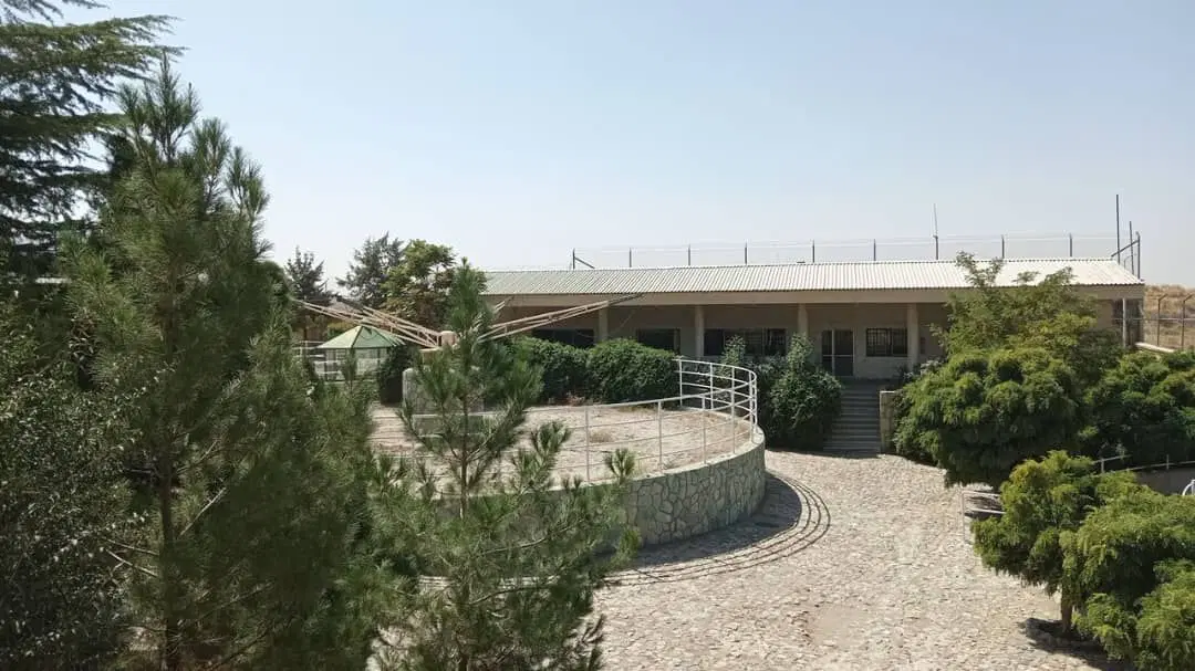 باشگاه اسب و زمین بزرگ
